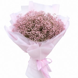 Large pink gypsophila bouquet — 25 stems delivery in Ukraine